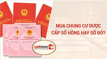 Năm 2020, mua chung cư được cấp Sổ hồng hay Sổ đỏ